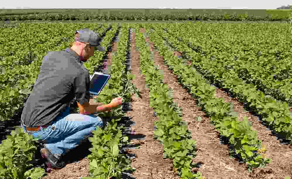 Katiyari Farmer Producer Company