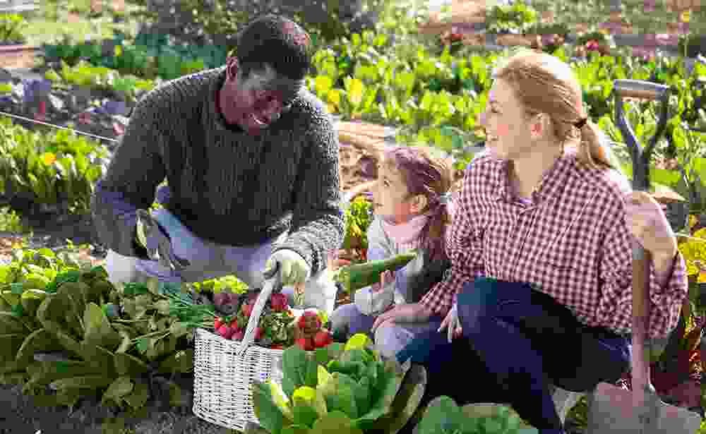 Katiyari Farmer Producer Company