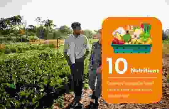 Katiyari Farmer Producer Company