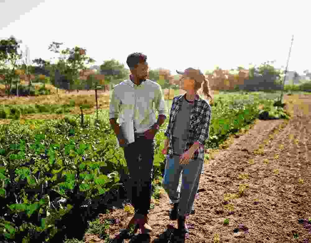 Katiyari Farmer Producer Company