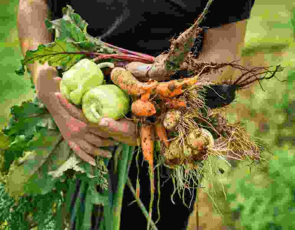 Katiyari Farmer Producer Company