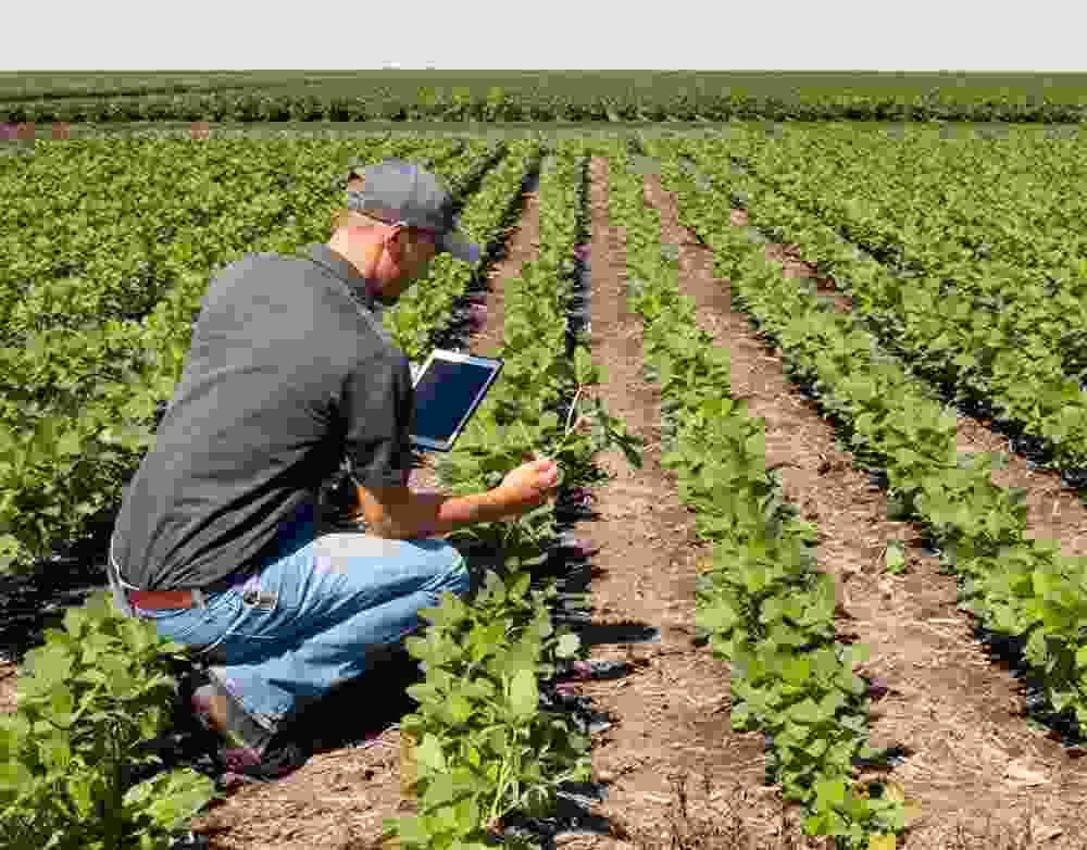 Katiyari Farmer Producer Company